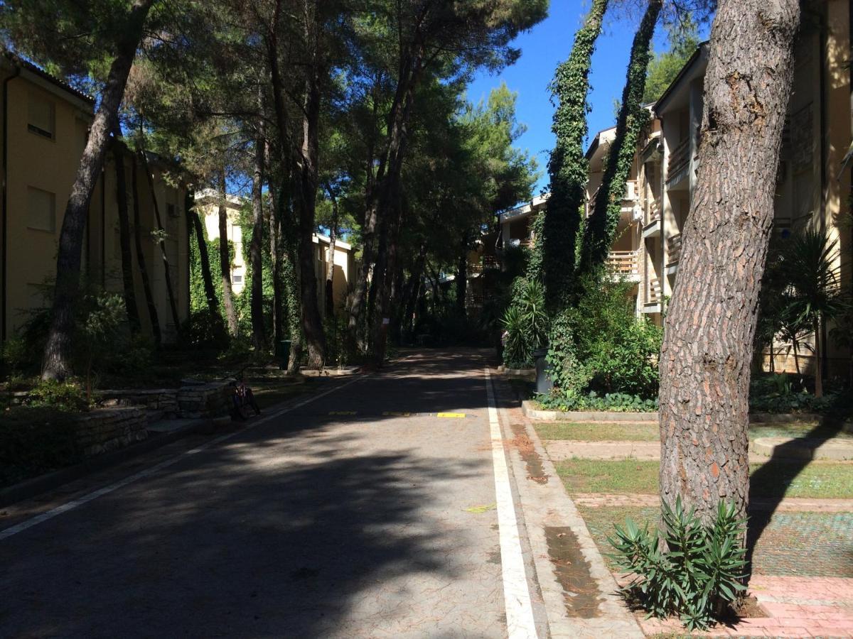 Apartment Eurocoli Rezidence Golem (Tirana)
